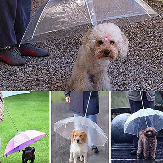 Dog Walking Waterproof Clear Cover Built-In Leash Rain Sleet Snow Pet Umbrella Pet Products